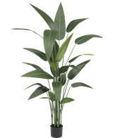 Künstliche Pflanze Heliconia 170 cm