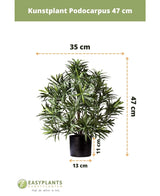 Künstliche Pflanze Podocarpus 47 cm