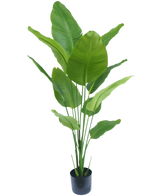 Künstliche Pflanze Strelitzia 150 cm real touch