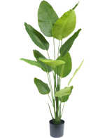 Künstliche Pflanze Strelitzia 180 cm real touch