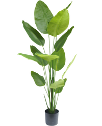 Künstliche Pflanze Strelitzia 180 cm real touch