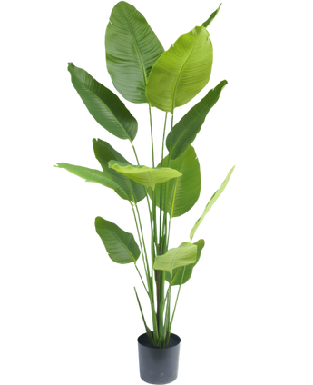 Künstliche Pflanze Strelitzia 180 cm real touch