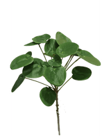 Künstliche Pilea Pancake Pflanze 50 cm