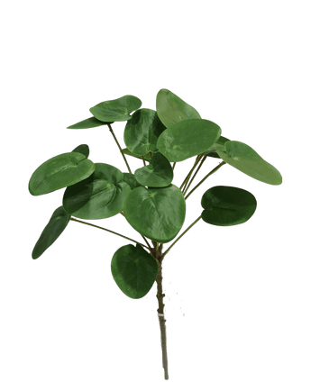 Künstliche Pilea Pancake Pflanze 50 cm