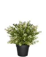 Künstlicher Buxus im Topf 23 cm UV