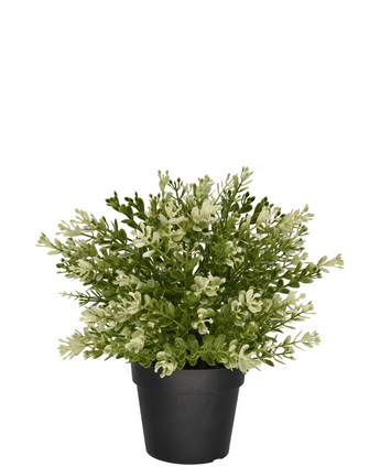 Künstlicher Buxus im Topf 23 cm UV