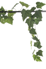 Künstlicher hängender Efeu 340 cm