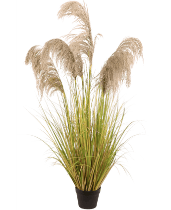 Künstliches Pampasgras 150 cm feuerhemmend