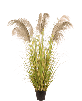 Künstliches Pampasgras 170 cm feuerhemmend