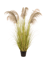 Künstliches Pampasgras 170 cm feuerhemmend