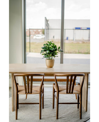 Kunstpflanze Baby Schefflera 45 cm