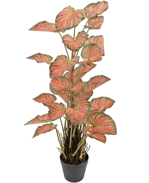 Kunstpflanze Caladium 90 cm rosa