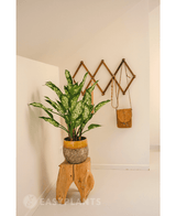 Kunstpflanze Dieffenbachia 75 cm