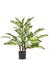 Kunstpflanze Dieffenbachia 75 cm