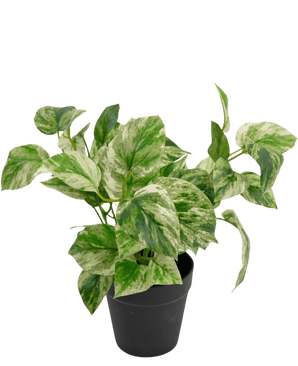 Kunstpflanze Golden Vine im Topf 35cm