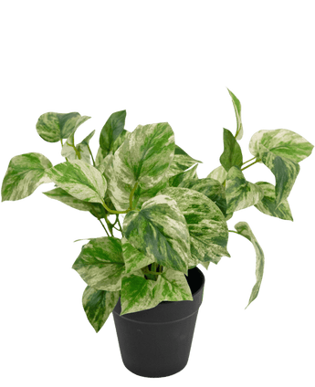 Kunstpflanze Golden Vine im Topf 35cm