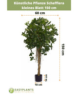 Kunstpflanze Schefflera kleines Blatt 150 cm