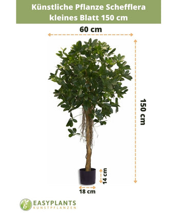 Kunstpflanze Schefflera kleines Blatt 150 cm