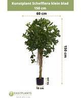 Kunstpflanze Schefflera kleines Blatt 150 cm