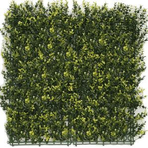 Kunstpflanzen Wand Buxus gelb 50x50 cm UV