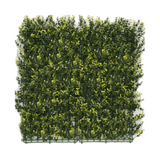 Kunstpflanzen Wand Buxus gelb 50x50 cm UV
