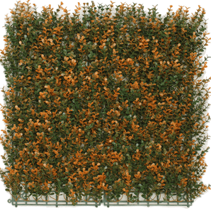 Kunstpflanzen Wand Buxus orange 50x50 cm UV