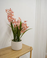 Die künstliche Cymbidium-Pflanze 58 cm rosa, mit hohen grünen Blättern und rosa orchideenähnlichen Blüten, steht auf einem hellen Holztisch vor einer schlichten weißen Wand und einem weißen Vorhang.