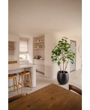 Eine moderne Küche mit hellen Wänden, Holzhockern auf der Theke, offenen Regalen mit Geschirr, einer künstlichen Ficus-Pflanze 210 cm, die für viel Grün sorgt, und einem Esstisch aus Holz mit Stühlen. Der Raum ist hell und bietet natürliches Licht.