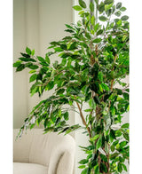 De Kunstplant Ficus Tropical Liana 180 cm, met meerdere takken, staat naast een lichtgekleurde gestoffeerde stoel in een lichte, zacht verlichte kamer.