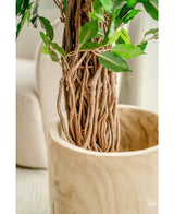 Close-up van de gevlochten bruine stam en groene bladeren van Kunstplant Ficus Tropical Liana 180 cm in een gladde, lichthouten plantenbak. Een beige gestoffeerde stoel vervaagt op de achtergrond, waardoor de levensechte details en het levendige groen van deze grote kunstplant worden benadrukt.