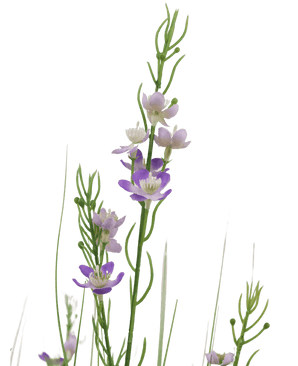 Kunstrasen Hirse Zwiebel Gras Topf 90cm feuerhemmend