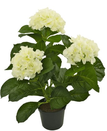 Synthetische Hortensie Weiß 35 cm