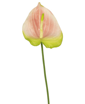 Eine einzelne künstliche Anthurium-Blume von 68 cm in Rosa mit einer zarten rosa-grünen Blüte auf einem langen grünen Stiel hebt sich wunderschön von einem weißen Hintergrund ab. Diese elegante Kunstblume ist ideal für alle, die rosafarbene Kunstblumen oder hochwertige Seidenblumen suchen, um ihrem Interieur eine zusätzliche Dimension zu verleihen.