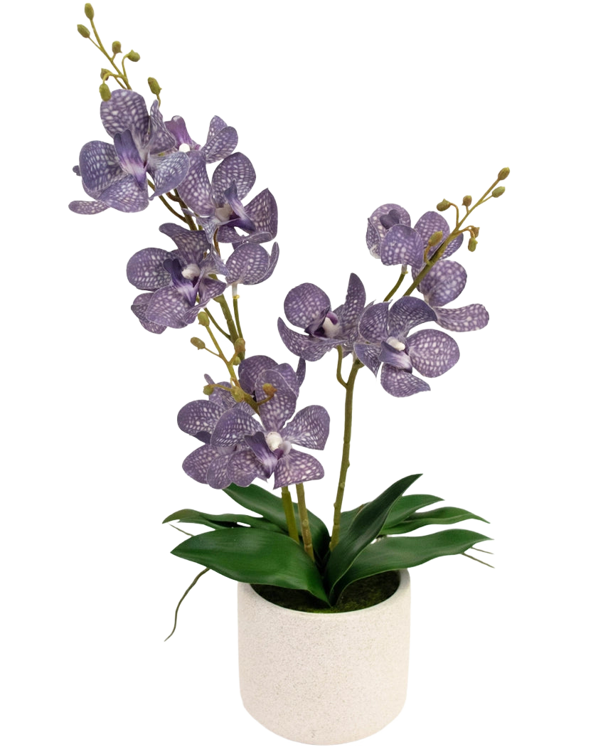 Die künstliche Ascocenda 50 cm lila hat zwei Stiele lila, gesprenkelter Orchideenblüten mit grünen Blättern in einem weißen Topf vor einem schlichten weißen Hintergrund.