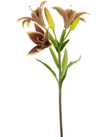 Die Kunstblume Asiatische Lilie 66 cm altrosa hat einen einzelnen Stiel mit drei rosafarbenen künstlichen Lilienblüten – zwei in Blüte und eine in Knospe – mit grünen Blättern, vor einem schlichten weißen Hintergrund.