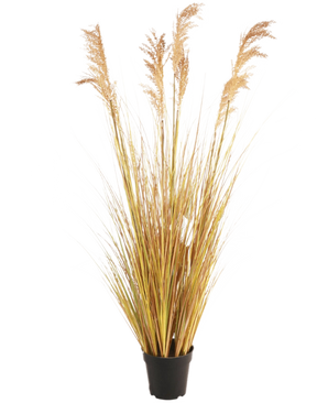 Een zwarte pot met de Kunst Grasplant Sorghum 130 cm brandvertragend, met hoog geelbruin gras, lange slanke bladeren en pluimen - ideaal voor stijlvolle interieurdecoratie tegen een witte achtergrond.