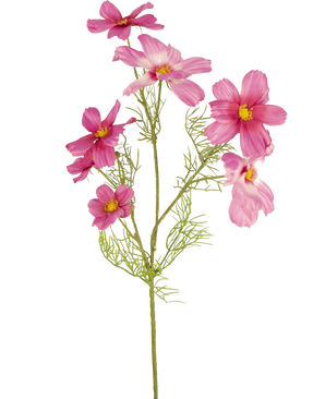 Een enkele Kunstbloem Cosmos 74 cm fuchsia met een groene steel, verschillende licht- en donkerroze bloemen en vederlichte groene bladeren, geïsoleerd op een witte achtergrond.