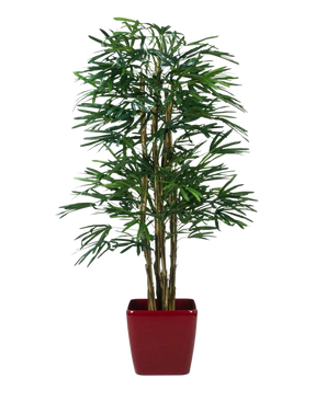 De Lady Kunstpalm 180 cm is een hoge kunstpalm met meerdere groene bladstelen, weergegeven in een glanzende rode vierkante plantenbak tegen een effen witte achtergrond.