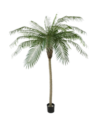 Künstliche Palme Phoenix De Luxe 210 cm