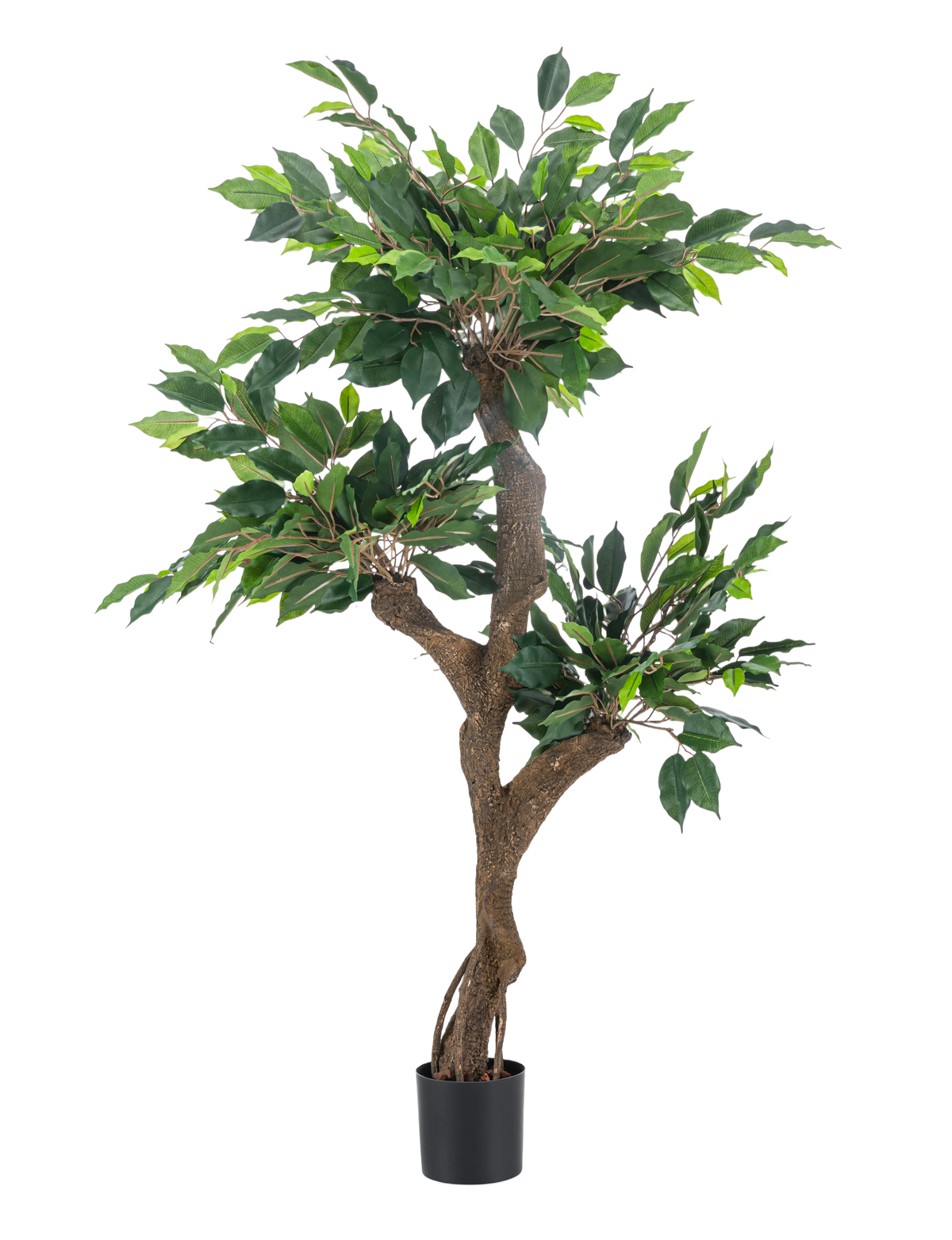 Die Kunstpflanze Ficus Crazy 120 cm ist ein hoher Kunstbaum in einem Topf mit mehreren braunen Stämmen und dichten grünen Blättern, dargestellt vor einem schlichten weißen Hintergrund.