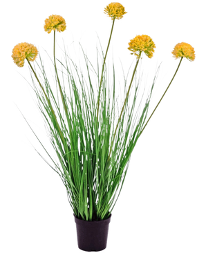 De Kunst Grasplant Onion 70 cm brandvertragend heeft lange, dunne groene bladeren en hoge stelen met ronde trossen kleine gele bloemen. Deze onderhoudsvrije plant staat prachtig tegen een witte achtergrond.