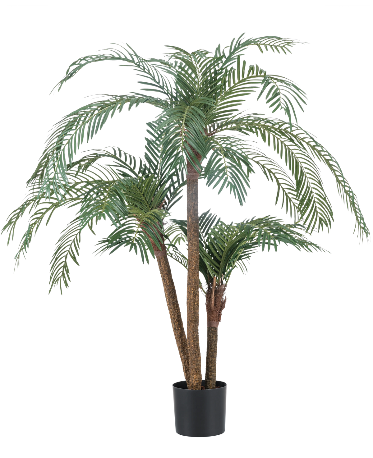 Die Kunstpalme Cycas Classic 135 cm hat mehrere schlanke Stämme und lange, gewölbte grüne Blätter, in einem schlichten schwarzen Topf vor einem schlichten weißen Hintergrund.
