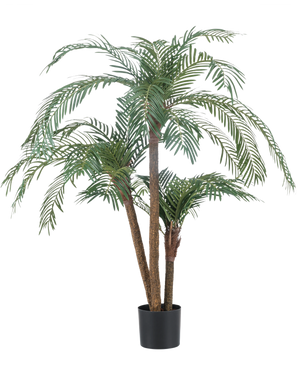 De Kunstpalm Cycas Classic 135 cm heeft vederlichte groene bladeren en meerdere bruine stammen in een eenvoudige zwarte sierpot tegen een witte achtergrond.