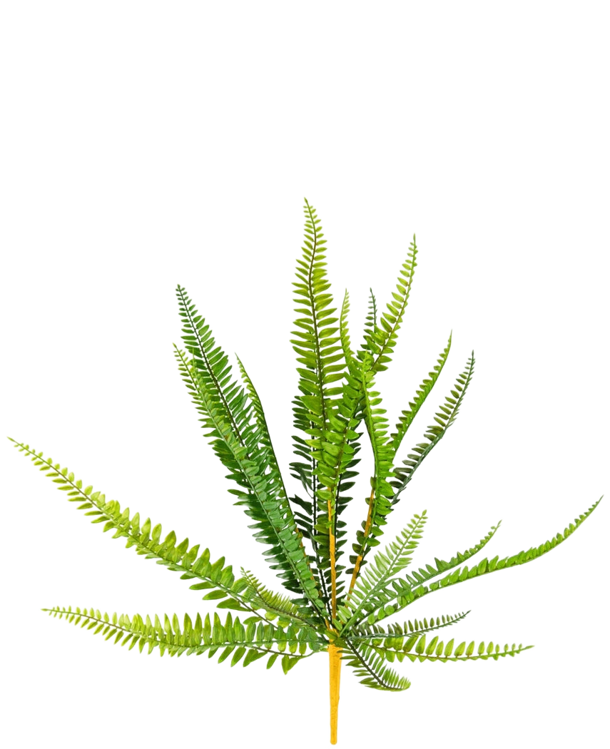 Die künstliche Farnpflanze 55 cm hat leuchtend grüne, lange, schlanke, spitze Blätter, die nach außen ragen, vor einem schlichten weißen Hintergrund.