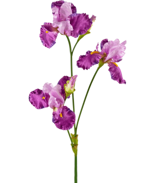 Die künstliche Blume Iris 102 cm lila hat einen langen grünen Stiel, der mit mehreren leuchtend lila und weißen Irisblüten verziert ist, jeweils mit Rüschen auf den Blütenblättern und gelben Akzenten, vor einem schlichten weißen Hintergrund.