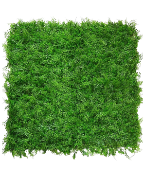 De Kunsthaag varen/conifeer 50x50 cm is een dichte, vierkante mat van levendig groen gebladerte met kleine blaadjes, van bovenaf gezien op een witte achtergrond, die lijkt op een weelderige, natuurlijke groene haag met een gelijkmatig, gestructureerd oppervlak.