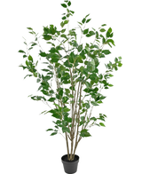 Die Kunstpflanze Ficus 150 cm ist ein Kunstbaum im Topf mit mehreren schlanken braunen Stämmen und sattgrünen Blättern vor einem schlichten weißen Hintergrund.