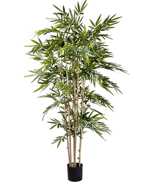 De Kunstplant Bamboe 180 cm heeft slanke lichtbruine stengels en overvloedige lange groene bladeren in een kleine zwarte pot, tegen een effen witte achtergrond.