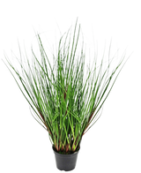 Die feuerhemmende Kunstrasenpflanze Zwiebel 50 cm hat lange, dünne, grüne, grasähnliche Blätter, die aufrecht wachsen und sich von der Mitte nach außen krümmen, präsentiert in einem schwarzen Plastiktopf vor einem weißen Hintergrund.