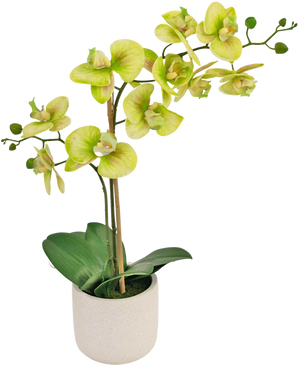 De Kunst Orchidee Real Touch 60 cm groen heeft lichtgroene en gele bloemen met weelderige groene bladeren, gerangschikt in een eenvoudige witte pot tegen een effen achtergrond.